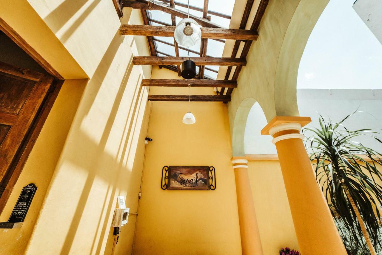 Snail Bed & Breakfast (Adults Only) San Cristóbal de Las Casas エクステリア 写真