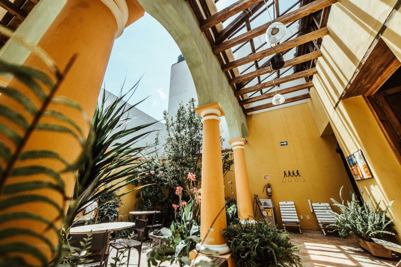 Snail Bed & Breakfast (Adults Only) San Cristóbal de Las Casas エクステリア 写真
